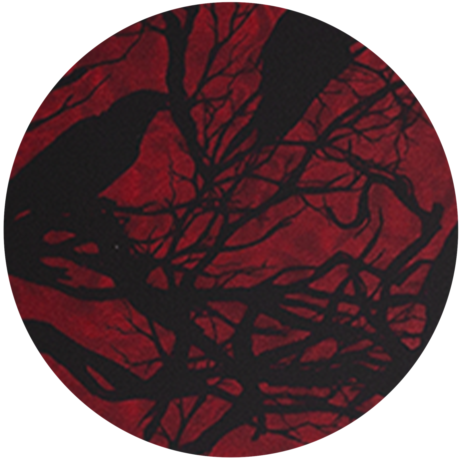 【中古】 Elektra  / Opus Arte Epiphone Shinichi Ubukata ES-355 Ver.02 Pelham Blue エレキ